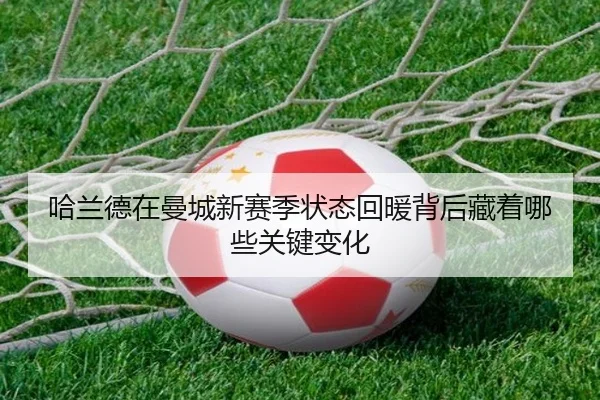 哈兰德在曼城新赛季状态回暖背后藏着哪些关键变化 - KAIYUN
